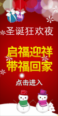 喜庆圣诞节BANNER