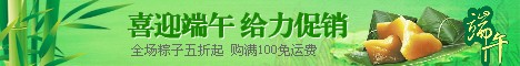 五月初五端午节BANNER