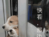 快看那边有美女