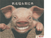 叭在墙头等红杏
