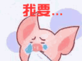 我哭555~~