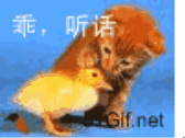 乖，听话