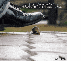 我来帮你踩空间啦