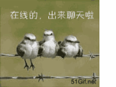 在线的，出来聊天啦