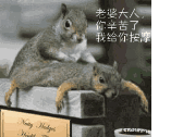 老婆大人我给你按摩