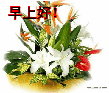 早上好！