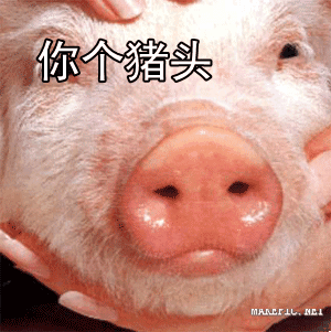 你个猪头
