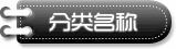 高档皮质淘宝分类图片